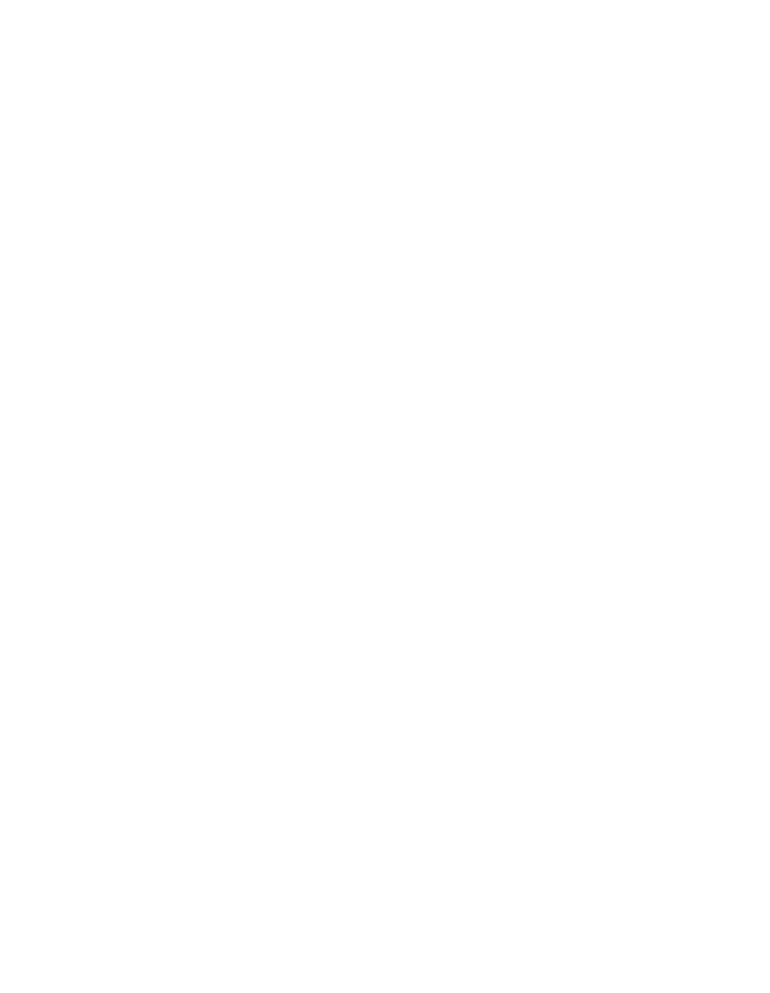 TMT Security